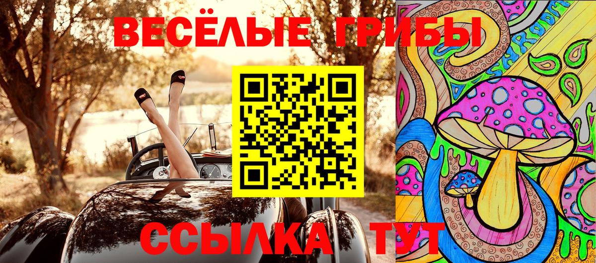 Электрогорск  Галлюциногенные грибы Psilocybine cubensis  Вход с VPN 