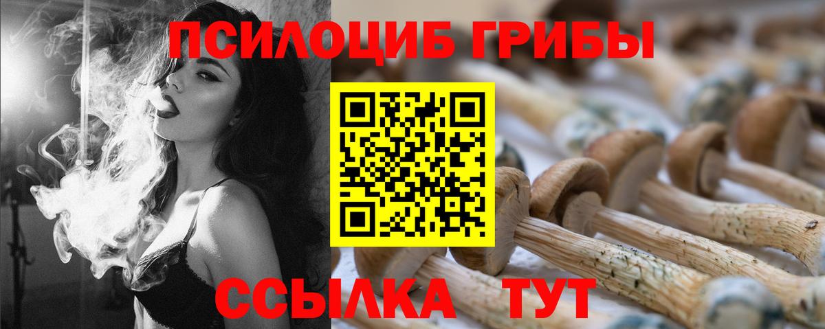Галлюциногенные грибы Psilocybine cubensis Электрогорск